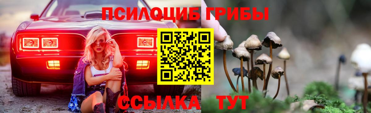 сколько стоит  Галлюциногенные грибы Psilocybine cubensis  Вход с VPN  Екатеринбург 